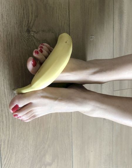 中餐厅第八季最新消息
