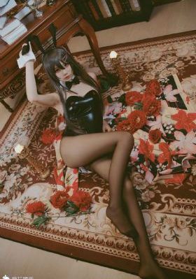 梅花档案
