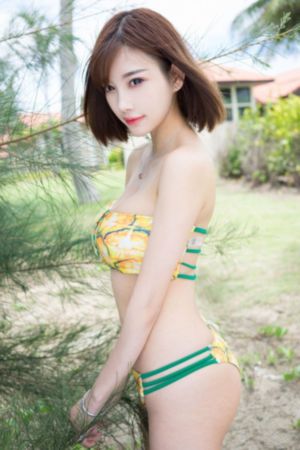 老师晚上好